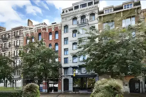 Urban Yard
